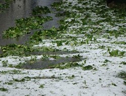 Γορτυνία: Αυγουστιάτικο... χαλάζι στα Λαγκάδια